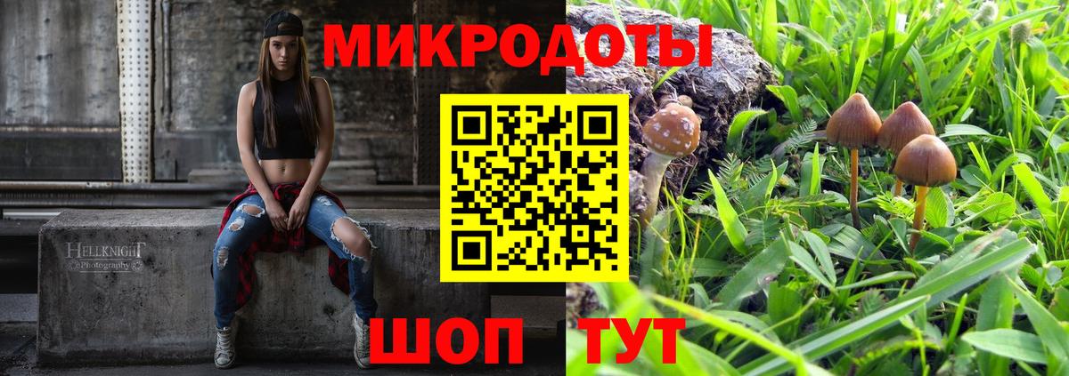 Галлюциногенные грибы GOLDEN TEACHER  Вход с VPN  Симферополь  Псилоцибиновые грибы GOLDEN TEACHER 